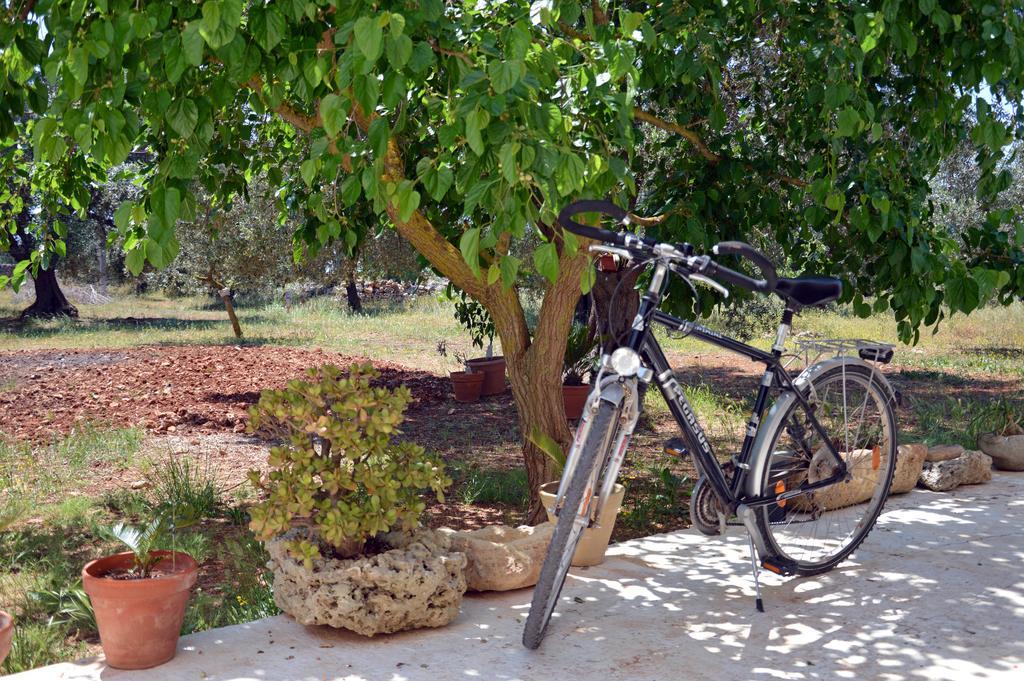 Agriturismo Tenuta Del Morige Galatone Exteriér fotografie