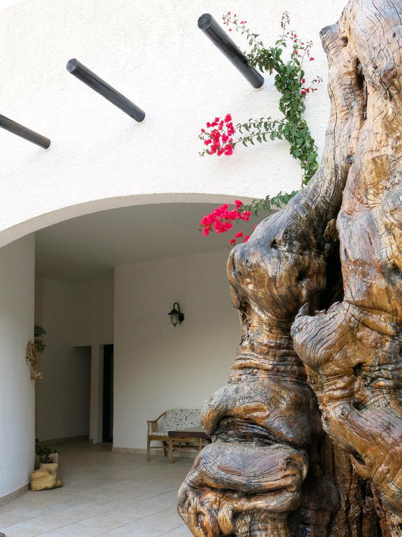 Agriturismo Tenuta Del Morige Galatone Pokoj fotografie